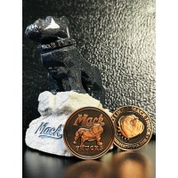 BMT Challenge Coin