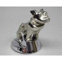 Chrome Bulldog with Long Ears