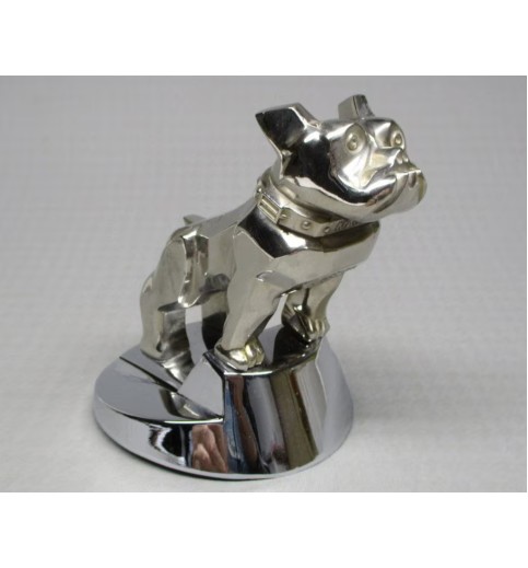 Chrome Bulldog with Long Ears